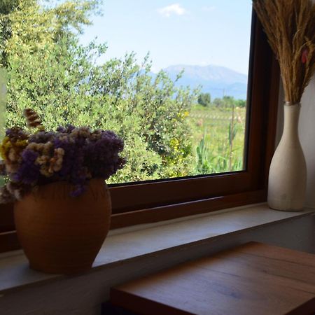 Rustic Tale Guesthouse Εξωτερικό φωτογραφία