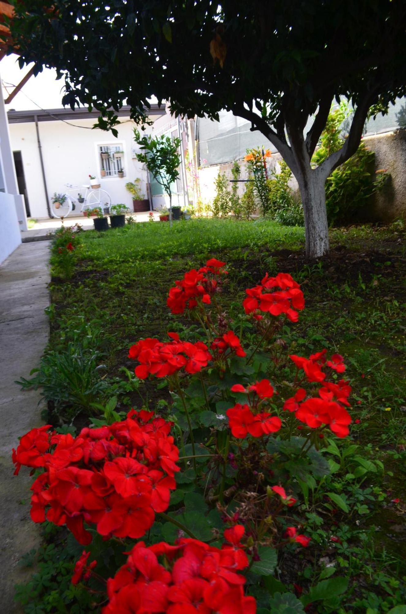 Rustic Tale Guesthouse Εξωτερικό φωτογραφία