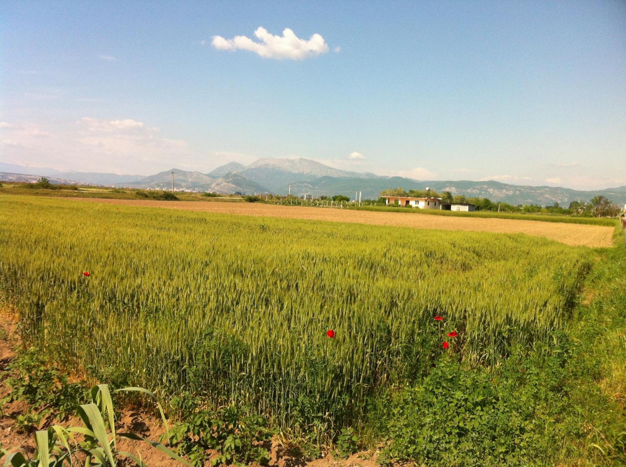 Rustic Tale Guesthouse Εξωτερικό φωτογραφία
