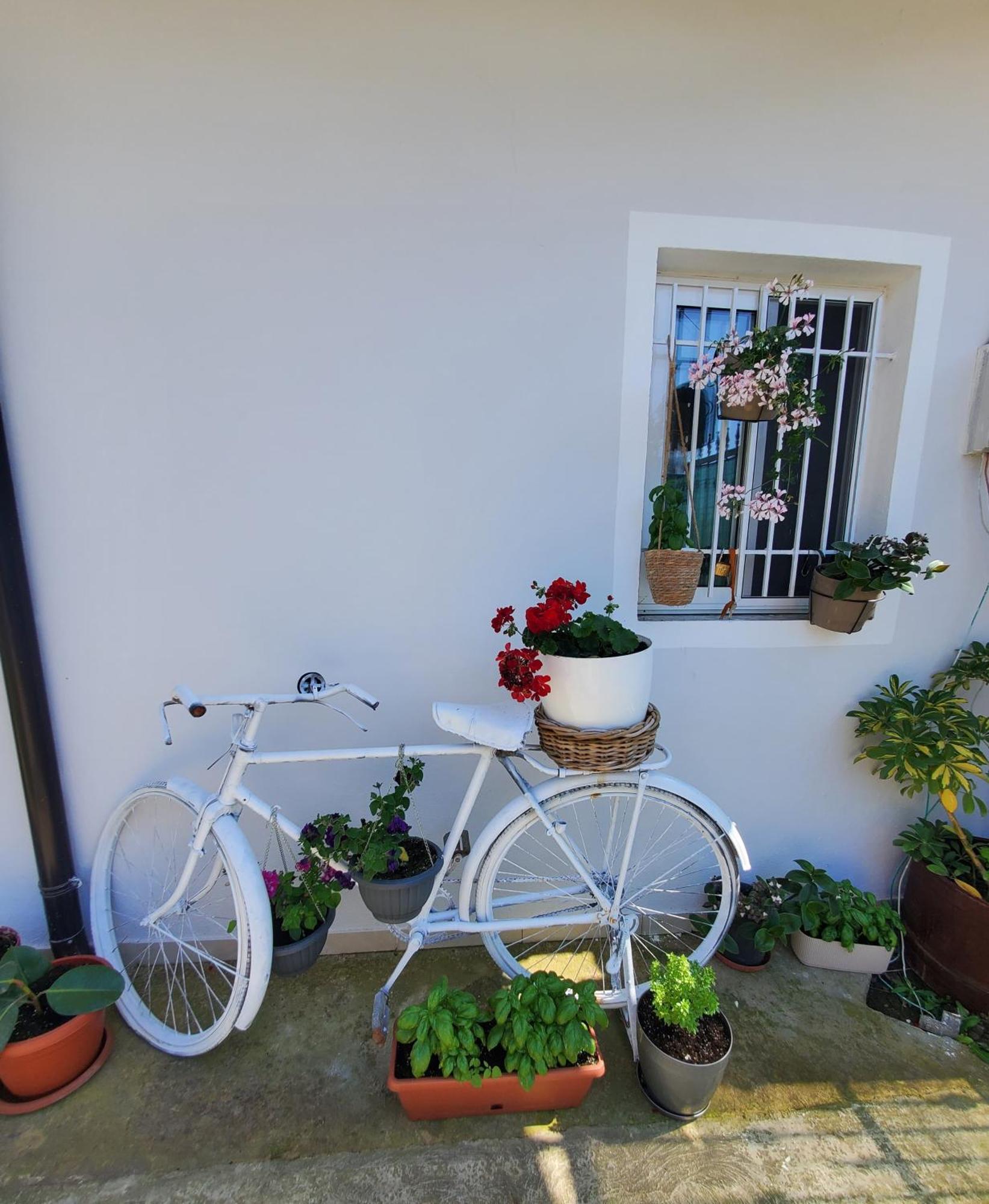 Rustic Tale Guesthouse Εξωτερικό φωτογραφία