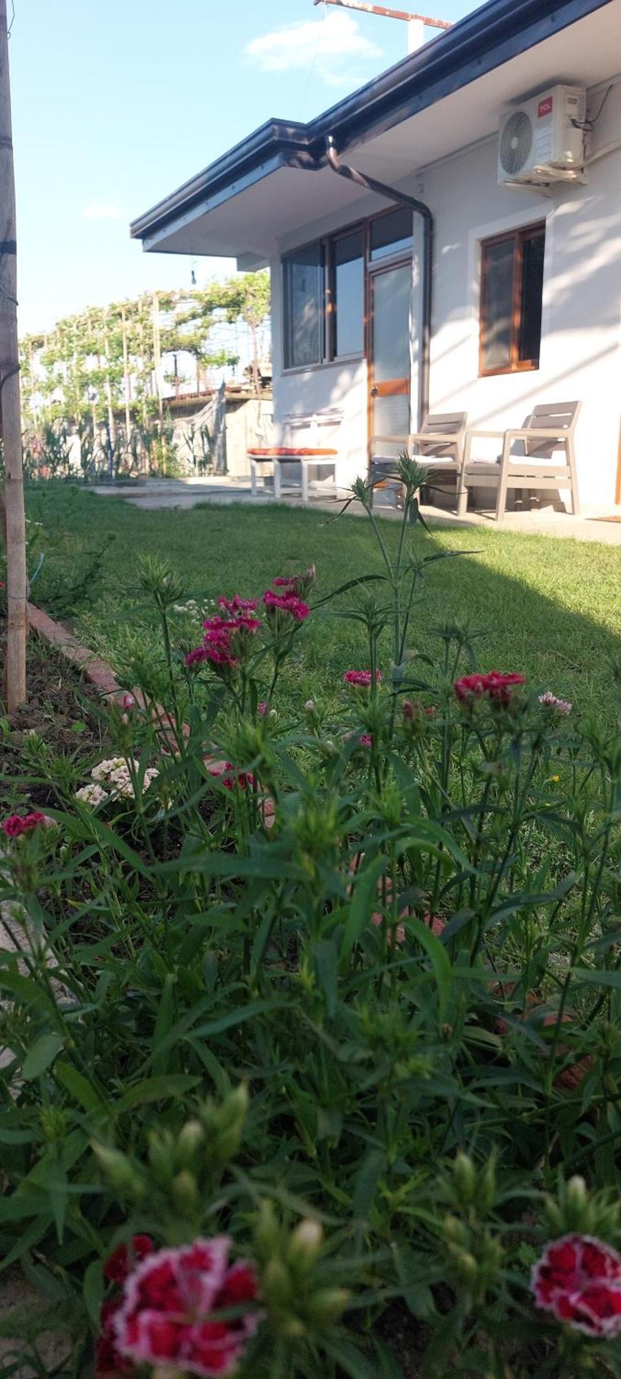 Rustic Tale Guesthouse Εξωτερικό φωτογραφία