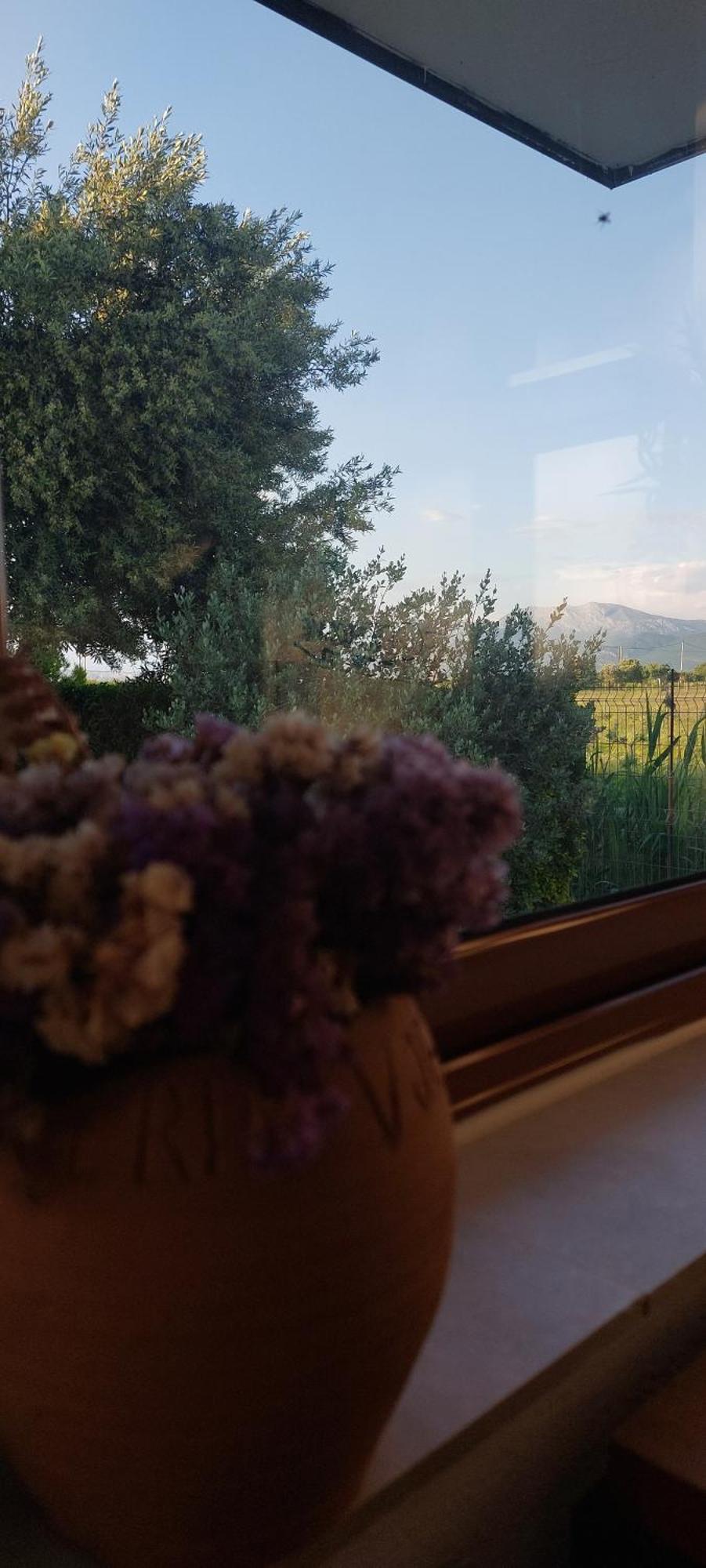 Rustic Tale Guesthouse Εξωτερικό φωτογραφία